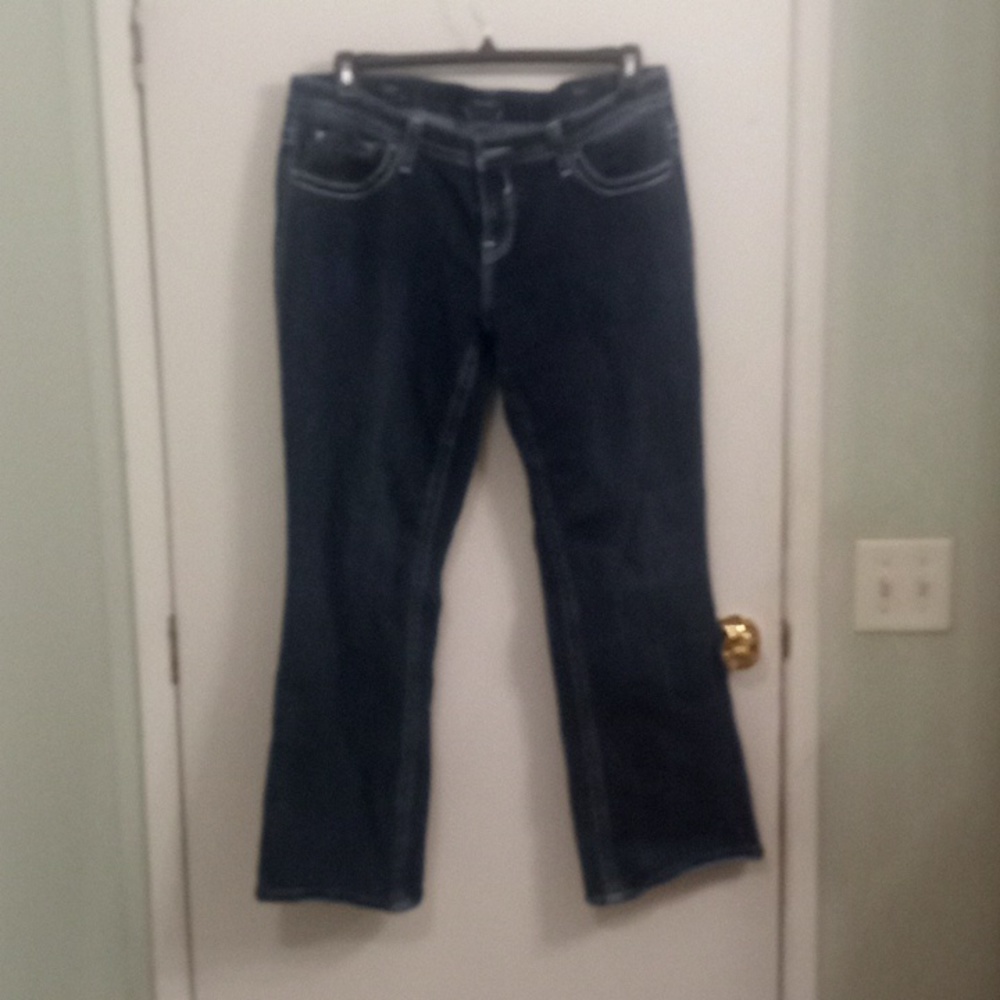 Vigoss Jeans - Women's 16 Blue Denim "The Dublin" Slim Boot - Embroidere…